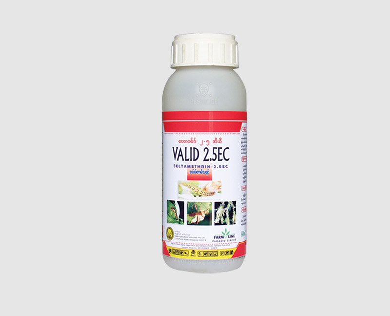 Valid-2.5-EC-large