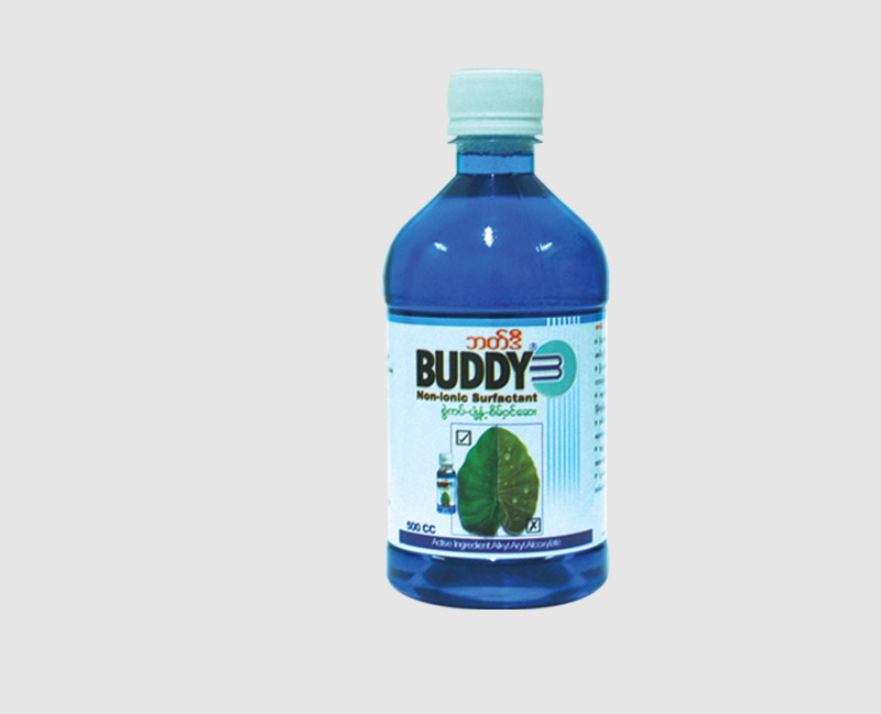 Buddy_large