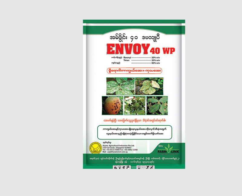 Envoy-40-WP_large