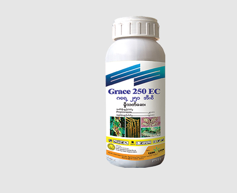 Grace-250-EC_large