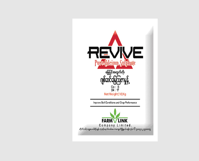 Revive(Pure-Calcium-Sulphate)_large