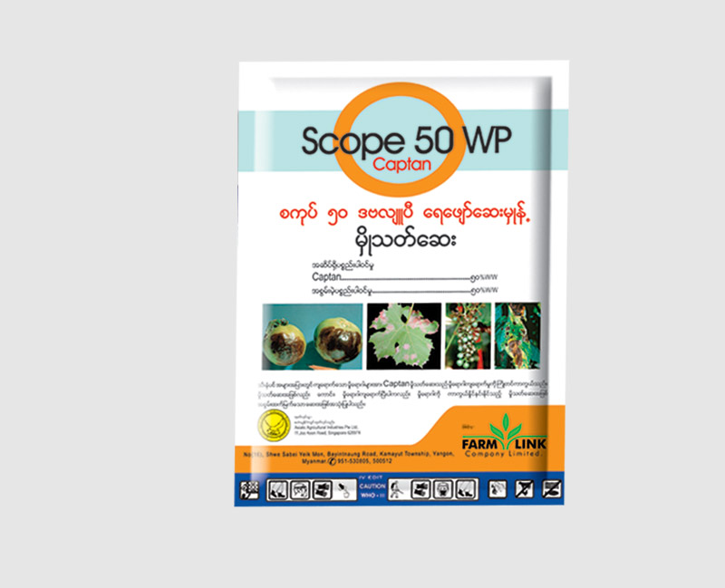 Scope-50-WP_large